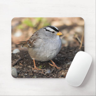 Mousepad Chubby White-Crowned Sparrow no Sol de inverno