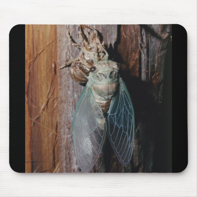 Mousepad Cicada seca as asas (Frente)