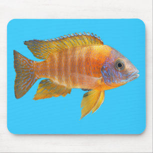 Mousepad Cichlidae do pavão