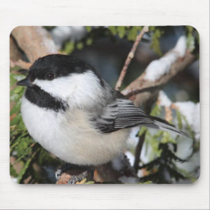 Mousepad Cickadee Preto-tampado
