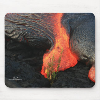 Mousepad Ciclo da vida - Havaí, a ilha grande
