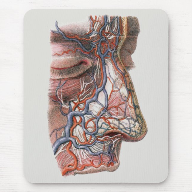 Mousepad Ciência Vintage Anatomia Humana, Rosto com Nariz (Frente)