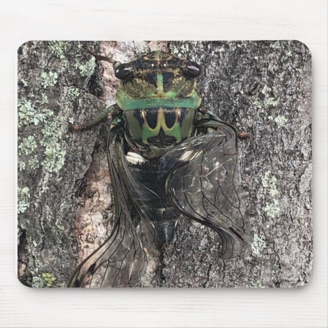 Mousepad Cigarra (Frente)