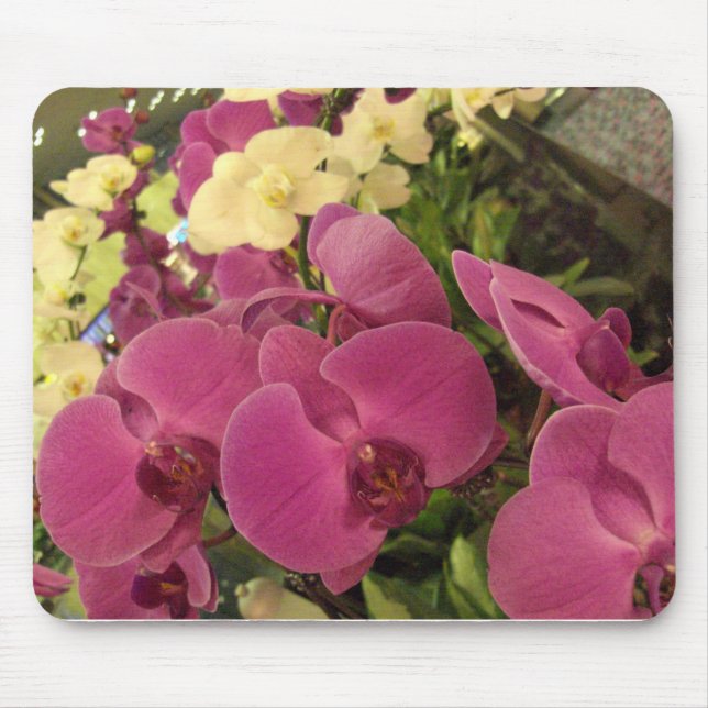 MOUSEPAD CIMG0482 (Frente)