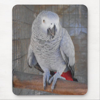 Mousepad Cinza africano "Rudy "