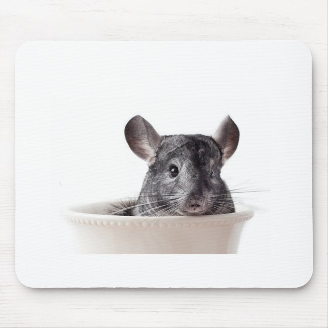 Mousepad Cinza bonito da chinchila do Teacup (Frente)