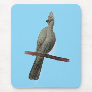 Mousepad Cinza de pássaro perdido
