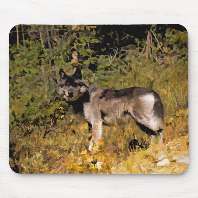 Mousepad Cinza de pé Wolf e Forest Wildlife Fotografia (Frente)