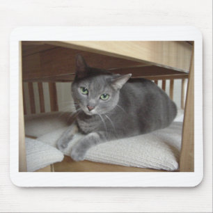Mousepad Cinza Gato/Azul Russo