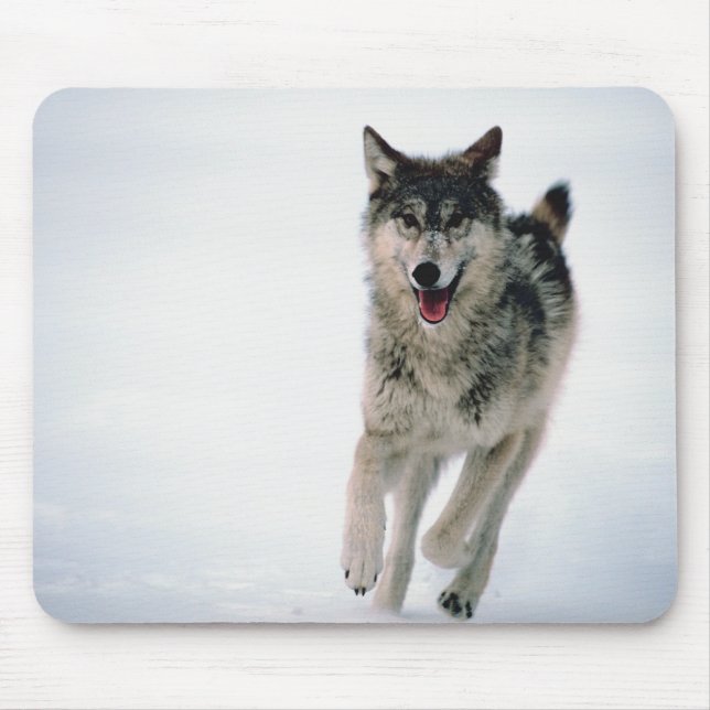 Mousepad Cinza lobo correndo (Frente)