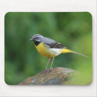 Mousepad Cinza Wagtail - pássaro