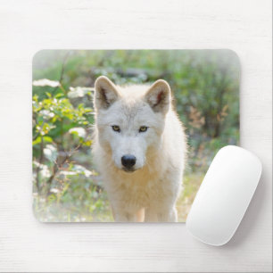 Mousepad Cinza Wolf, Calm Canine