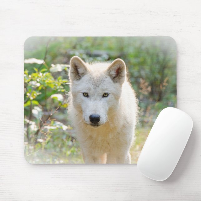 Mousepad Cinza Wolf, Calm Canine (Com mouse)
