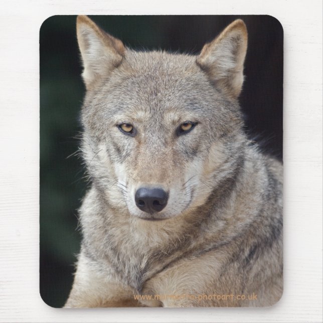 Mousepad Cinza Wolf Mousemat (Frente)