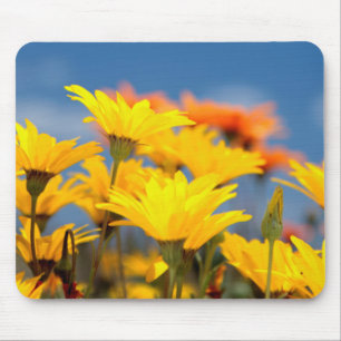 Mousepad Cinzas Amarelas E Laranja