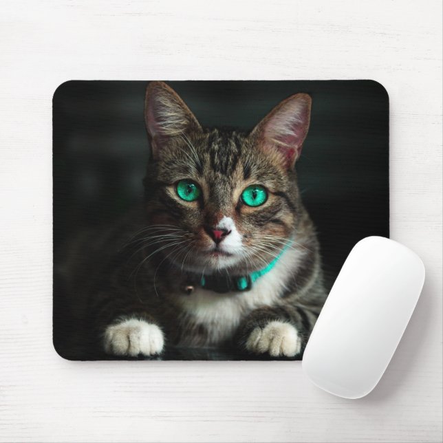 Mousepad Cinzas e Gato Branco com Olhos Azuis e Colar Corre (Com mouse)