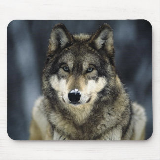 Mousepad cinzento-lobo-neve