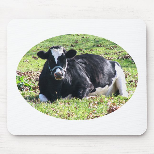 Mousepad Círculo de Vaca Leiteira em repouso Transparente F (Frente)