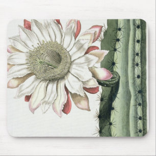 Mousepad Círio Erectus Altissimus Syrinamensis 'de Phyth