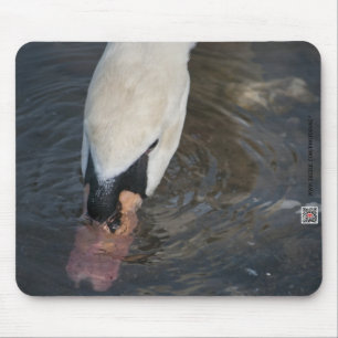 Mousepad Cisne