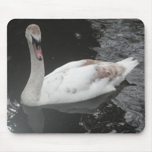 Mousepad Cisne Bebê Nadando (Frente)