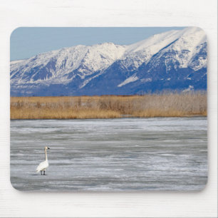 Mousepad Cisne e neve
