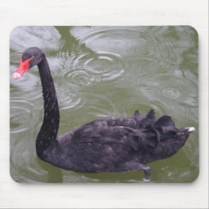 Mousepad Cisne Negro