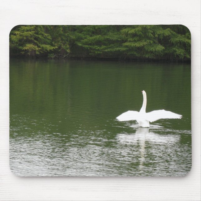 Mousepad Cisne no Town Lake (Frente)