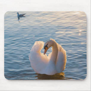 Mousepad cisne, pássaro, animal