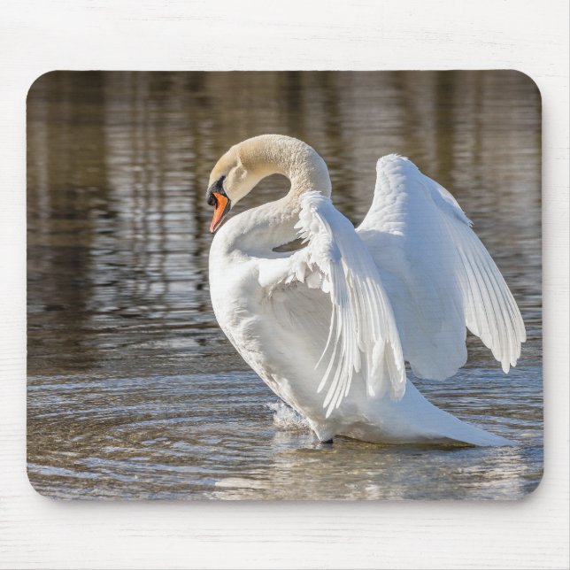 Mousepad cisne, pássaro, animal (Frente)
