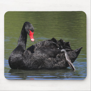 Mousepad Cisne preta