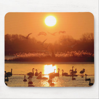 Mousepad Cisnes no lago de Sunset
