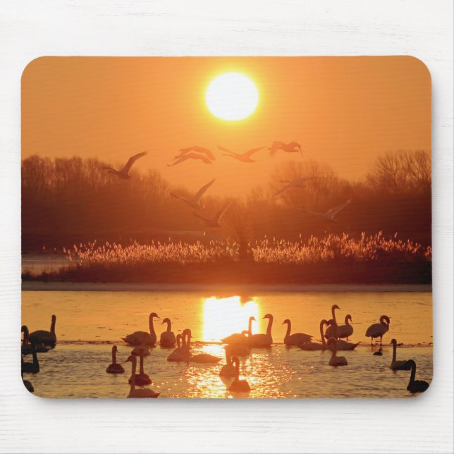 Mousepad Cisnes no lago de Sunset (Frente)