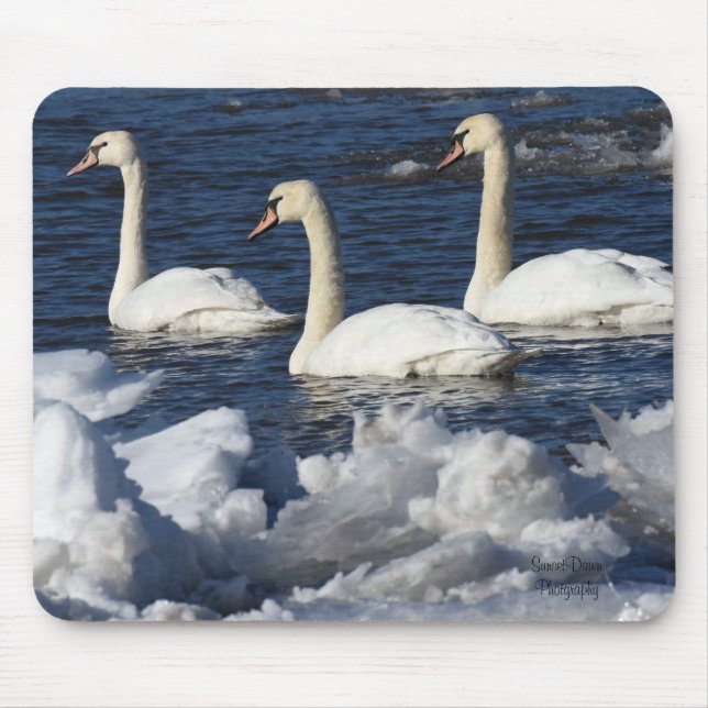 Mousepad Cisnes no rio Icey (Frente)