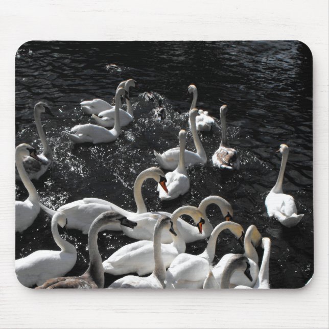 Mousepad Cisnes para fora (Frente)