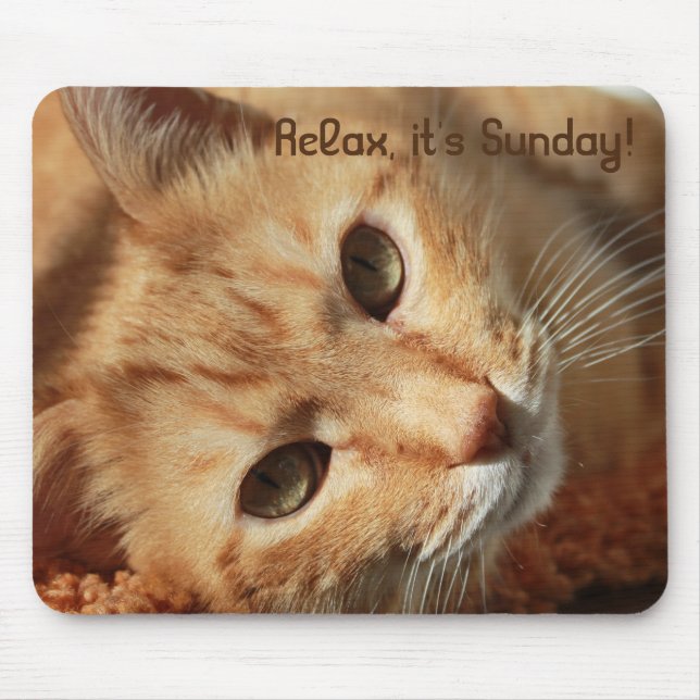 Mousepad Citação do gato (Frente)
