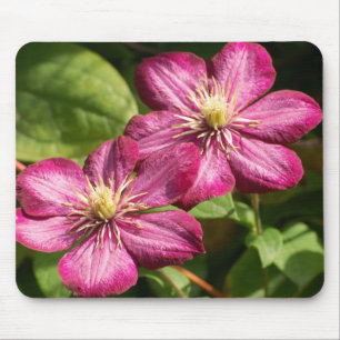 Mousepad Clematis