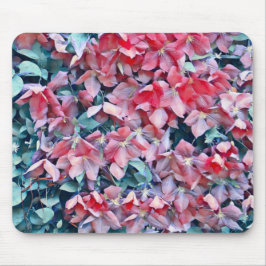 Mousepad Clematis Flowers