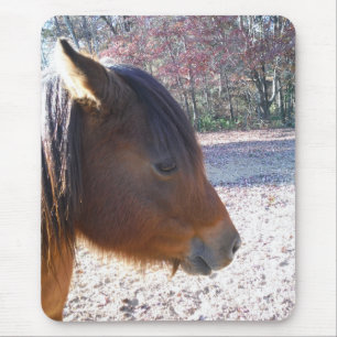 Mousepad Close de cavalo marrom, pequeno pônei marrom