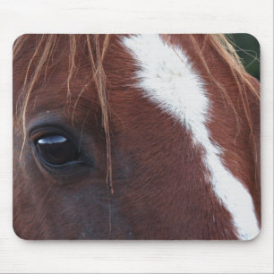 Mousepad Close up da cara do cavalo