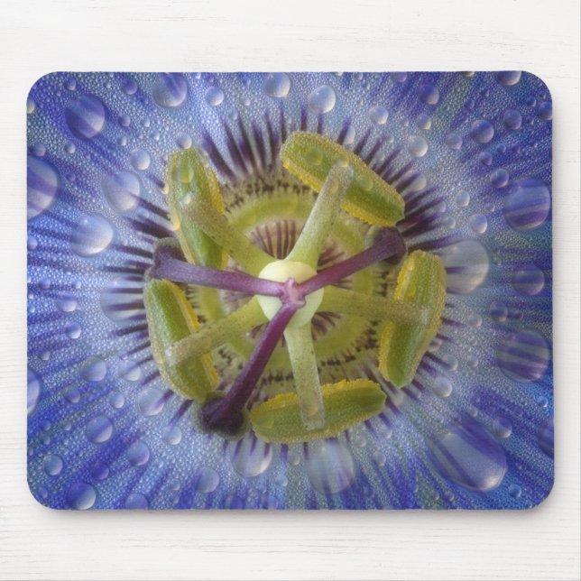 Mousepad Close-up da flor de maracujá com orvalho. Crédito: (Frente)