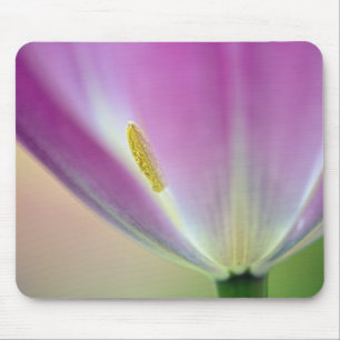 Mousepad Close-up da parte inferior da flor de tulipa, Kuek