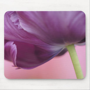 Mousepad Close-up da parte inferior da flor de tulipa, Kuek
