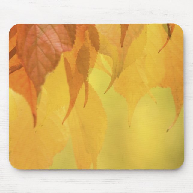Mousepad Close-up de Folhas de Outono em um Galho (Frente)
