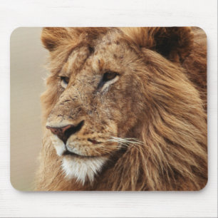 Mousepad Close-up de leão macho