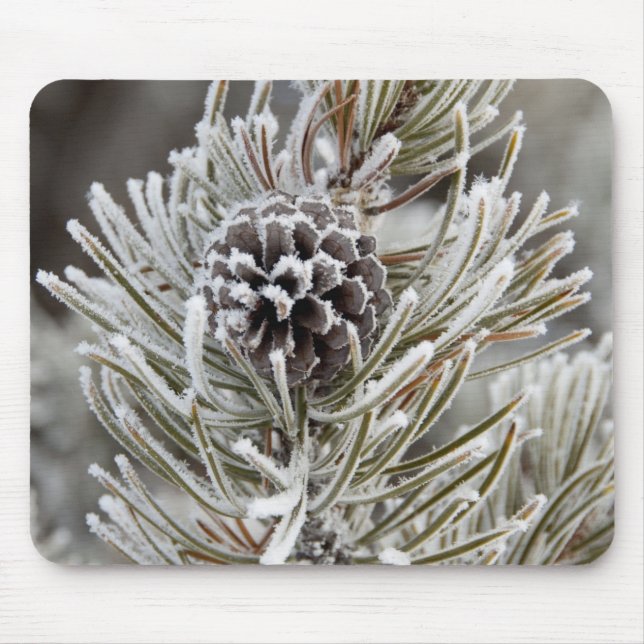 Mousepad Close-up de pinha congelada, Yellowstone (Frente)
