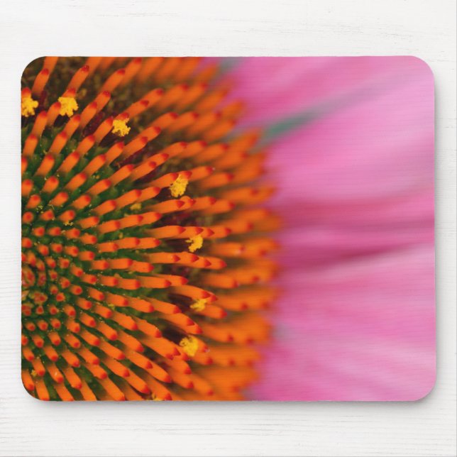 Mousepad Close-up de uma Flor de Cone no verão, (Frente)
