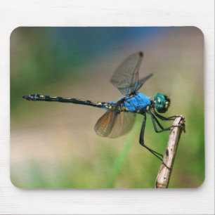 Mousepad Close-Up De Uma Libélula Azul Em Um Galho