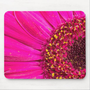 Mousepad Close-up de uma margarida Gerber
