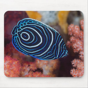 Mousepad Close-up do peixe-imperador